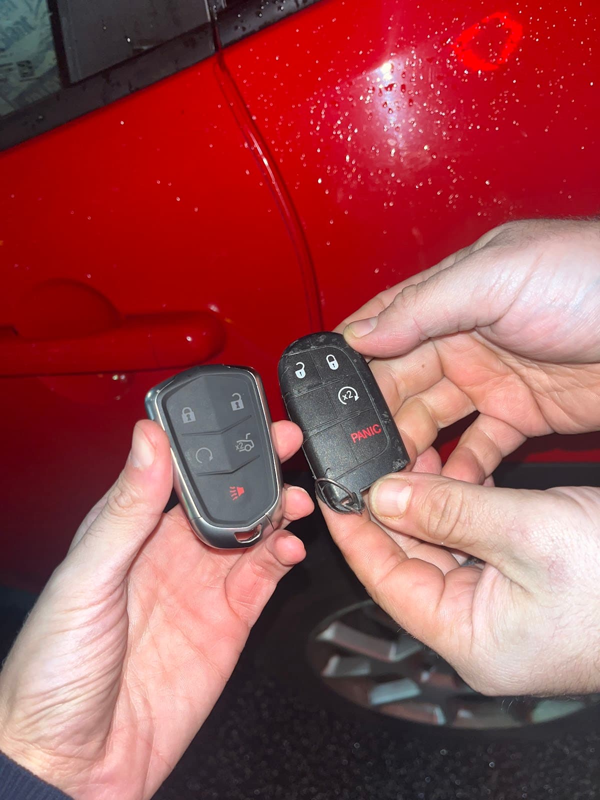 Photo by Liutas Anderson